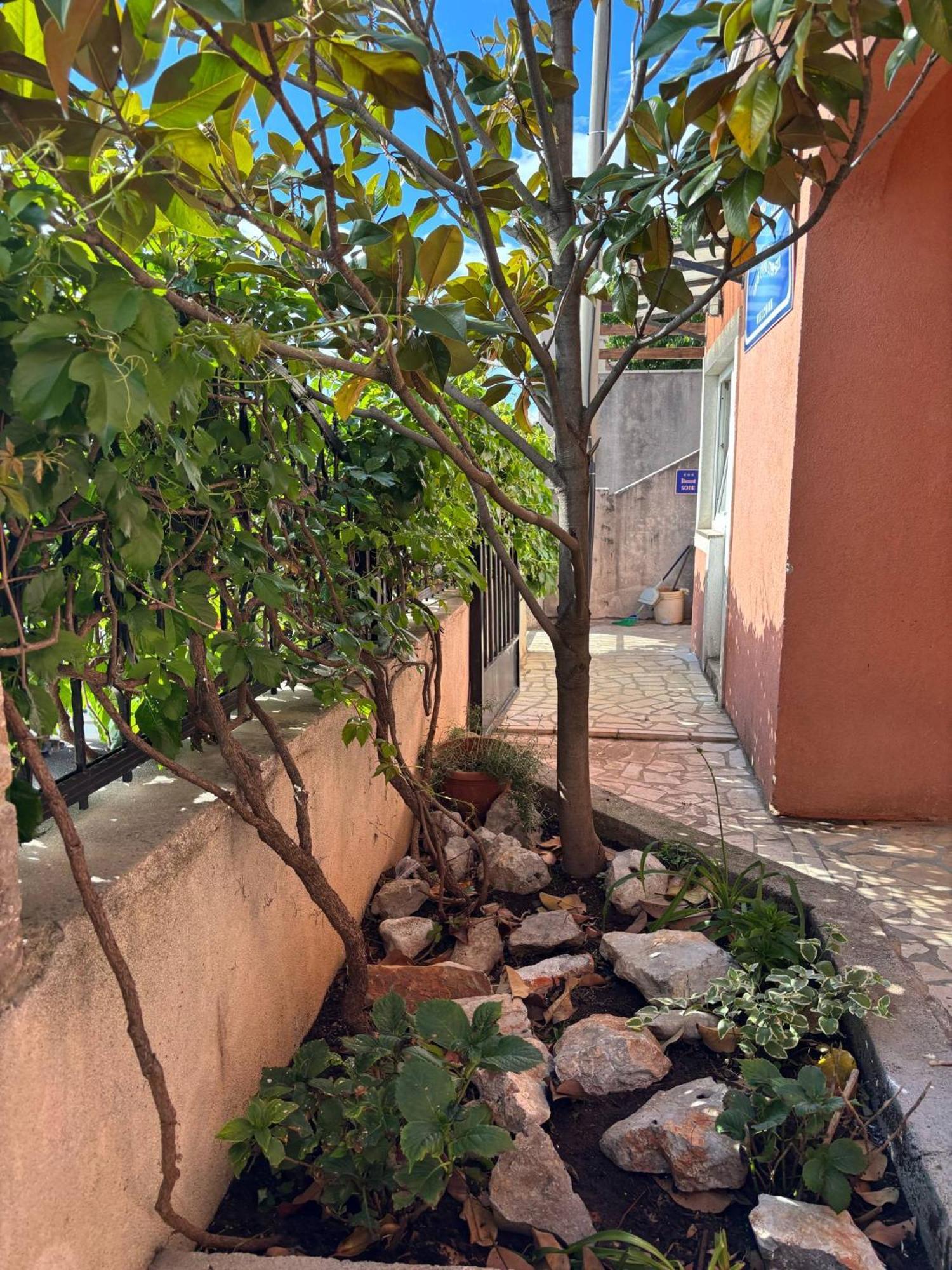 Apartments & Room Madi سينج المظهر الخارجي الصورة