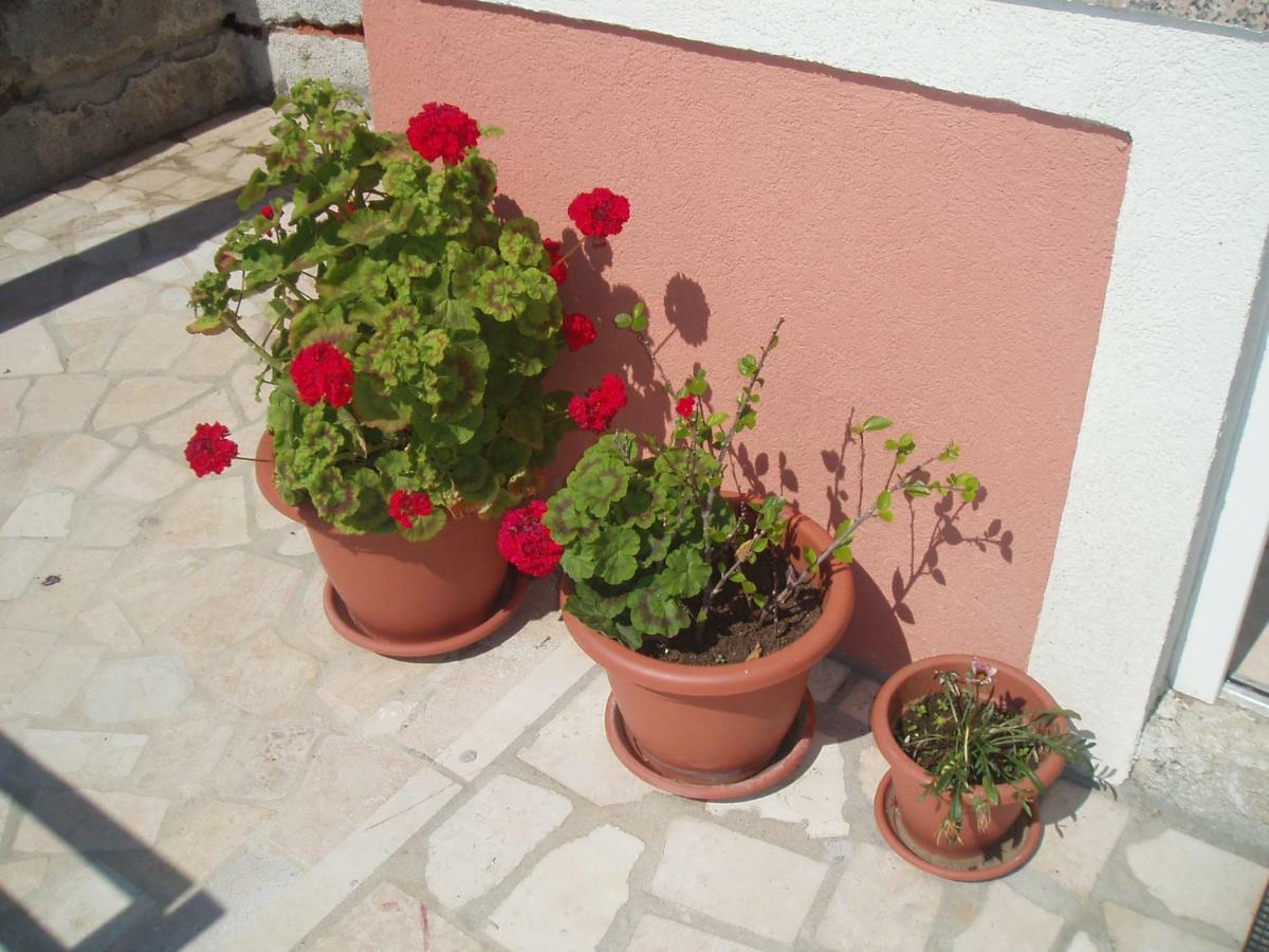 Apartments & Room Madi سينج المظهر الخارجي الصورة